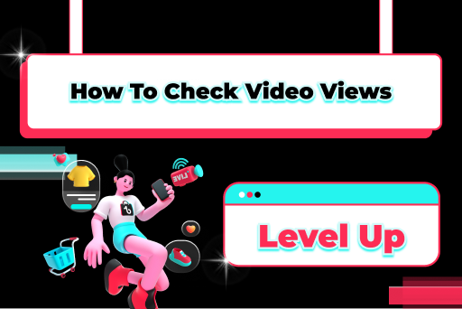 How to check video views