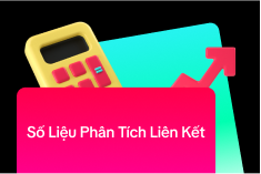 Số Liệu Phân Tích Liên Kết
