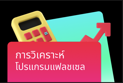 การวิเคราะห์โปรแกรมแฟลชเซล (Flash Sale)